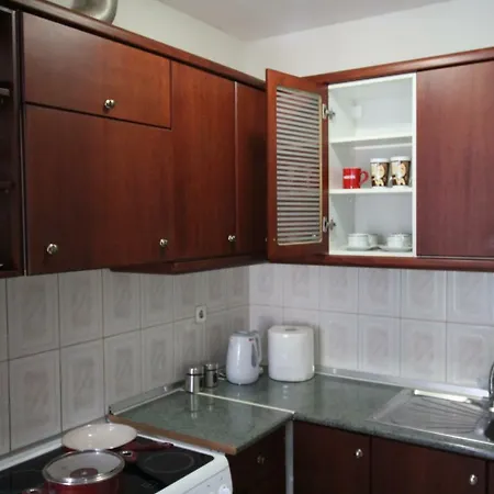 Appartement Dimitris Flat à Néoi Epivátai Extérieur photo